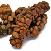 Melacak Status Hukum Kopi Luwak