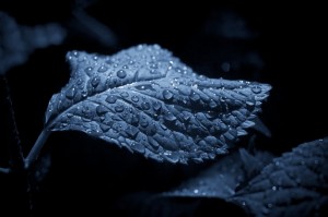 mutiara faidah hikmah di balik celaan