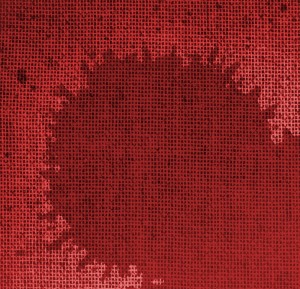 imam syafii menggugat syiah