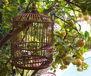 menggali ilmu hadits ya aba umair