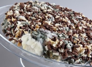 daging para ulama beracun